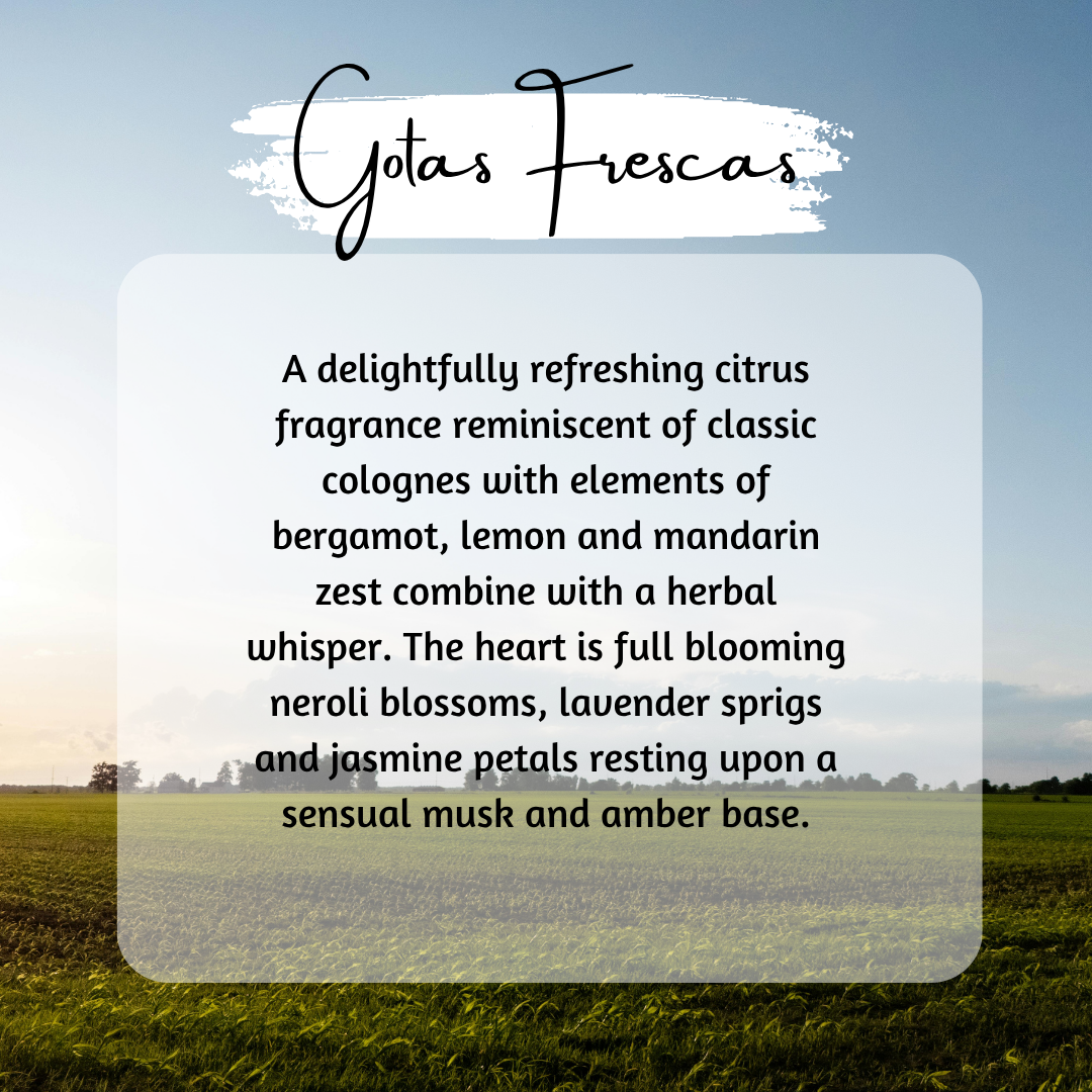 Reed Diffuser