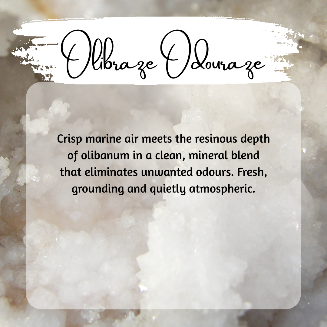 Odour Eliminating Carpet Freshies