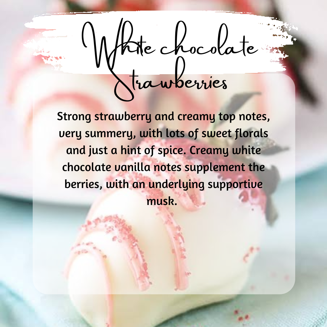 Sweets N Treats Snapbars